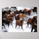 Recherche de troupeau posters Galop