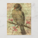 Recherche de moineau cartes postales Rose