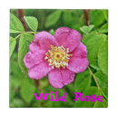 Search for flora tiles Plants