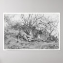 Recherche de lion femelle posters Afrique