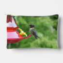 Search for throat accessories Hummingbird