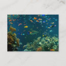 Search for aquarium business cards Fish