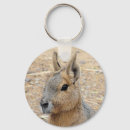 Search for mara keychains Animal