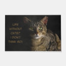 Search for funny cat doormats Kitty