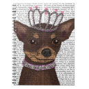 Recherche de chihuahua Animaux