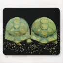 Search for turtle mousepads Tortoises