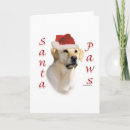 Search for yellow labrador retriever christmas cards Animals