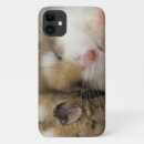 Search for pet hamster iphone cases Funny