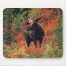 Search for moose mousepads wood