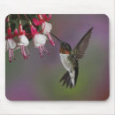 Recherche de adams tapis souris Oiseau