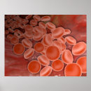 Recherche de artères posters Gros plan