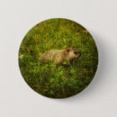 Recherche de marmotte badges Jour de marmotte