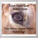 Recherche de visage de cheval posters Chevaux