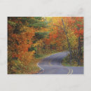 Search for tree line postcards Fall