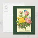 Search for blank antique vintage postcards Roses