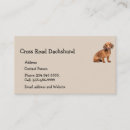 Recherche de dog magnete Dachshund