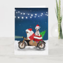 Search for dalmatian christmas cards Dog