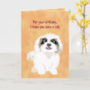 Search for shih tzu birthday cards Canine