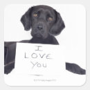 Search for black labrador stickers Animals