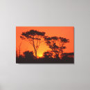 Search for adams canvas prints Red