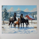 Recherche de cheval d appaloosa posters Ferme