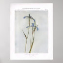 Recherche de étroitement posters Floral