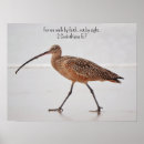 Search for nature walks posters Beach