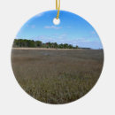Search for preservation ornaments Preserve