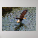 Search for maturity posters Eagle