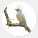 Search for bird species stickers Wildlife