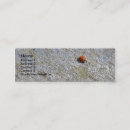 Recherche de de coccinelle cartes visite Nature