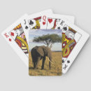 Recherche de la défense jeux de cartes Mammifère