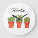 Recherche de herbes horloges Pour elle