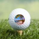 Search for palm golf balls Beach