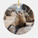 Search for baby seal ornaments Animal