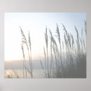 Recherche de de matin posters Pastel
