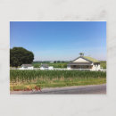 Search for lancaster postcards Amish