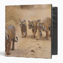 Search for bush avery binders Wild