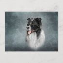 Recherche de bordures cartes postales Animaux