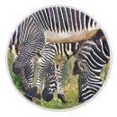 Search for zebra knobs and pulls Stripes