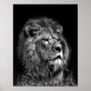 Recherche de jeune animal posters Noir et blanc