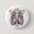 Search for skeleton bones buttons Skeletons