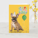 Search for french birthday cards Dogs