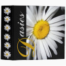 Search for shasta photography Daisy