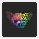 Search for chihuahua mom stickers Chiwawa