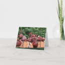 Search for flamingo note cards Bird