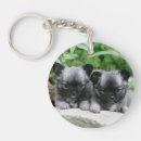 Search for long haired chihuahua keychains Bob and pam langrish