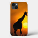 Search for kenya cases Sunset