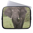 Search for tanzania cases Habitat