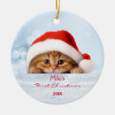 Search for santa paws ornaments Meowy